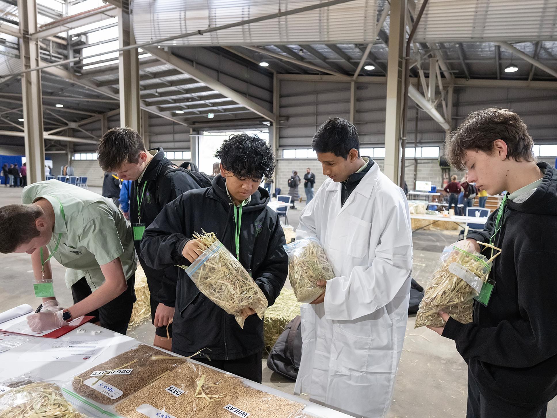 Students examining and labelling bags of straw during an agricultural judging activity inside a pavilion.