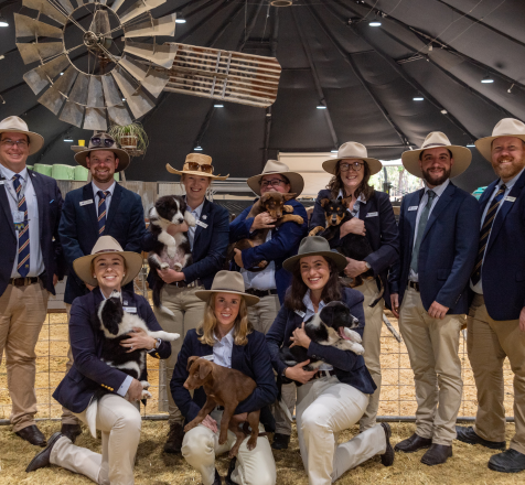 Group of people in blue blazers and hats hold puppies inside a barn with a windmill display.