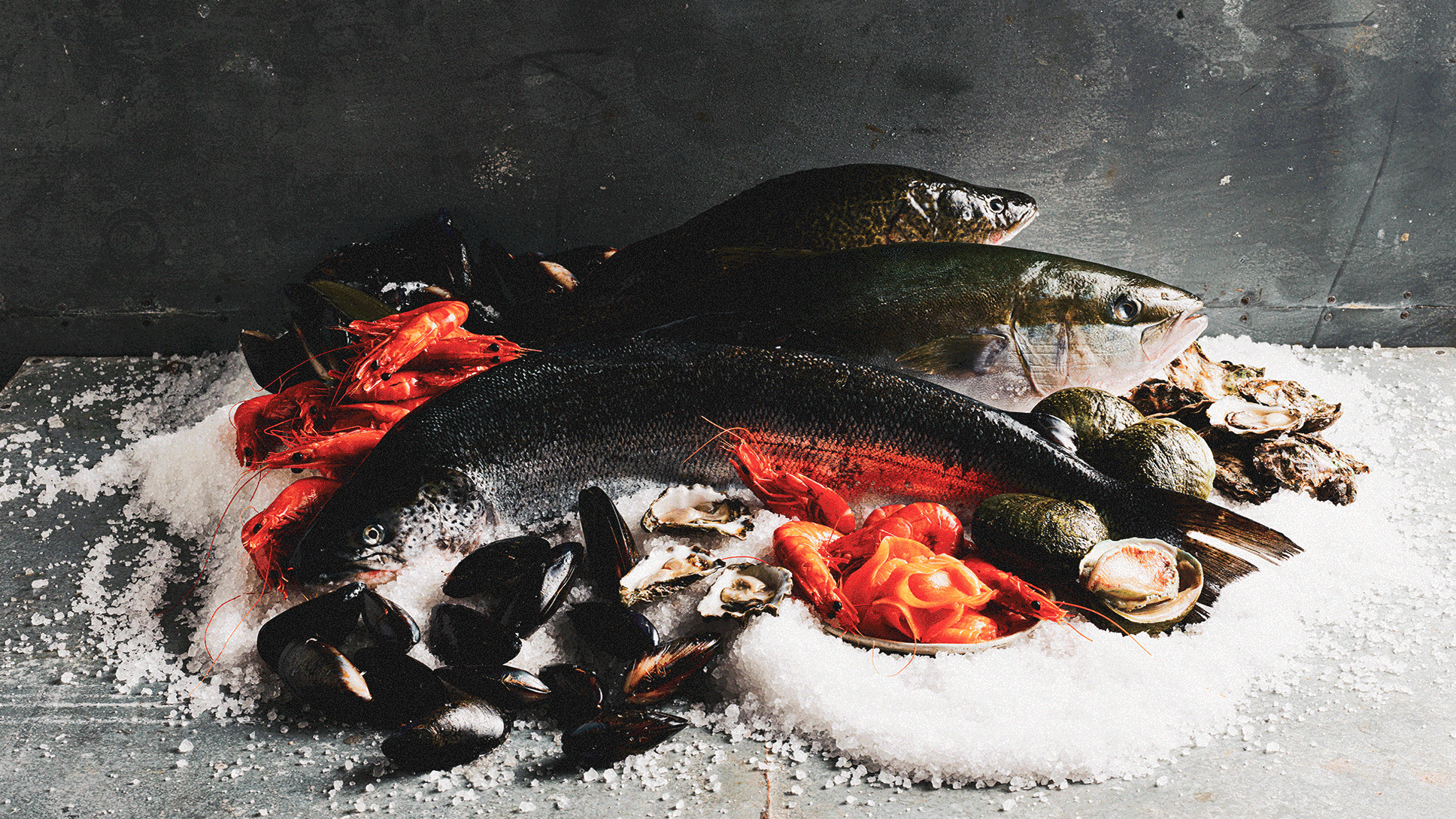 Fresh fish, prawns, oysters, and mussels displayed on ice for the Sydney Royal Fine Food Show Aquaculture Competition.