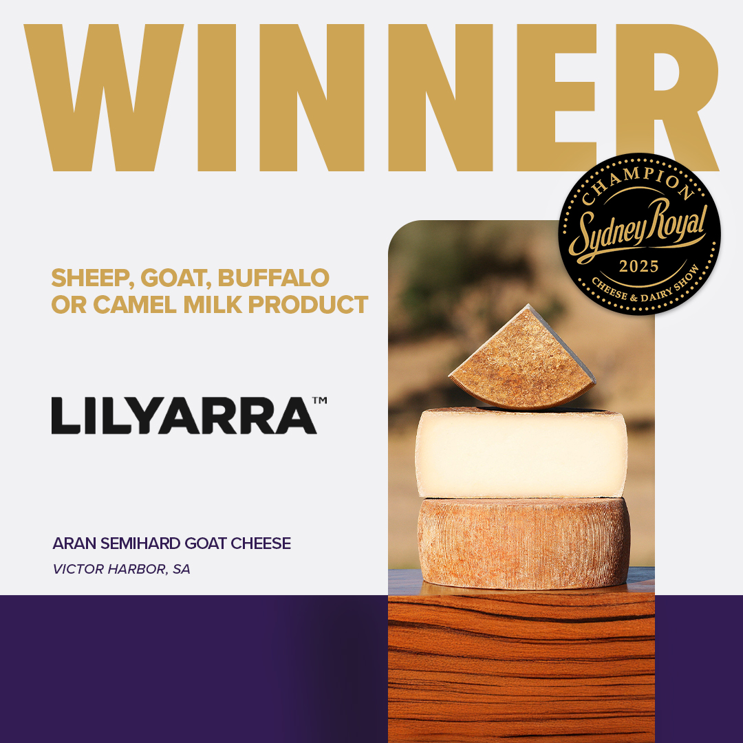 Three pieces of Lilyarra Aran Semihard Goat Cheese, awarded Champion Sheep, Goat, Buffalo or Camel Milk Product, at Sydney Royal Cheese and Dairy Show.