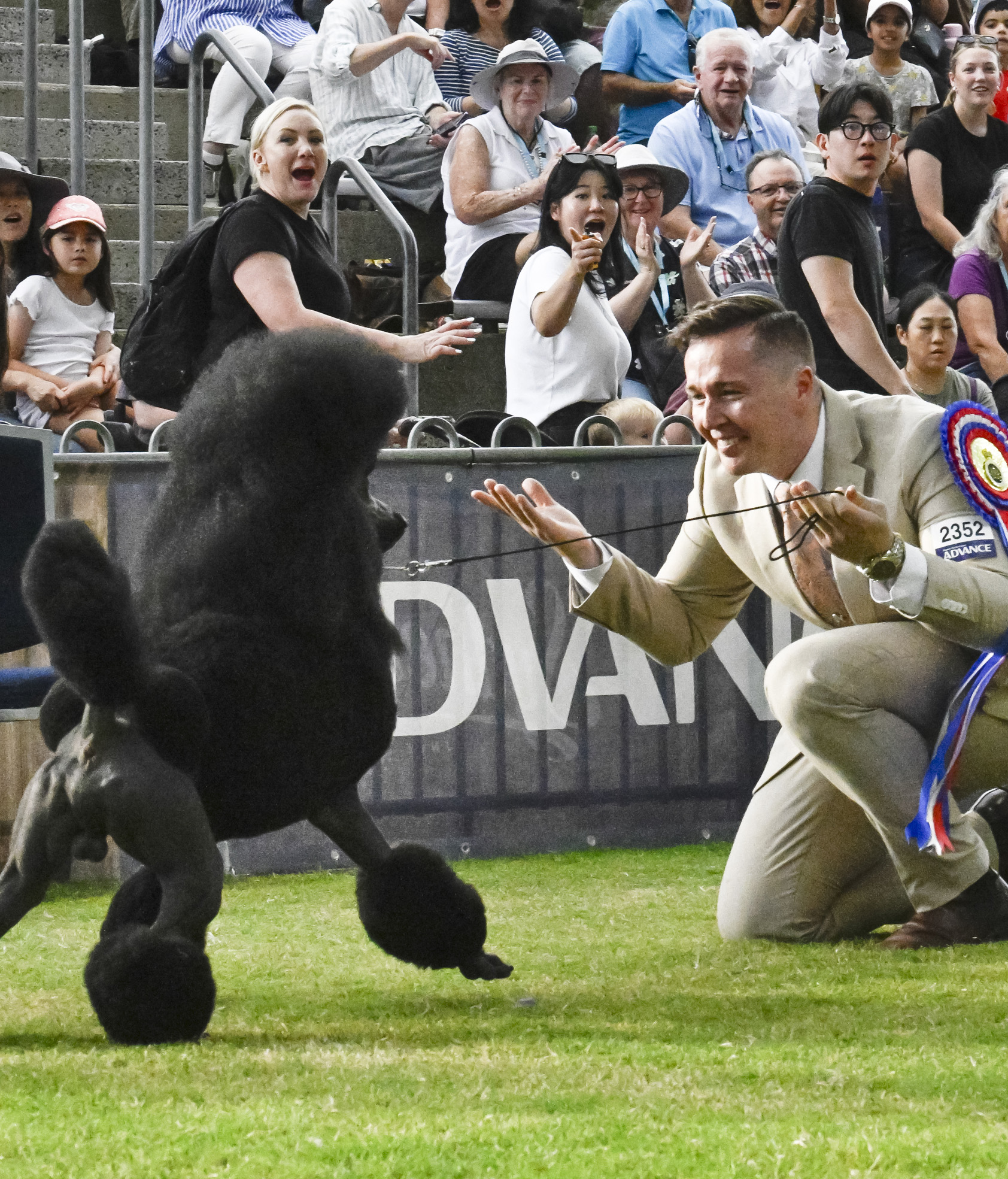 Sydney FCI International