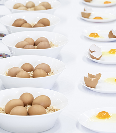 Bowls of brown eggs on straw beside plates with cracked eggshells and raw eggs on a white surface.