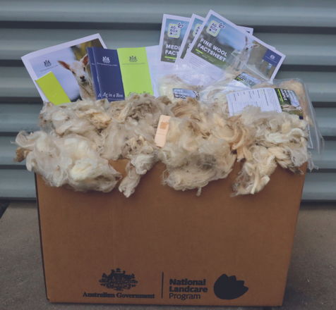 A box labelled ‘Ag in a Box’ filled with wool samples and educational booklets.