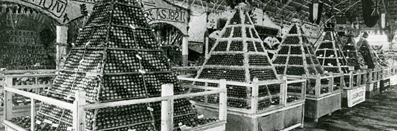 First display of farm produce by school children at the Show